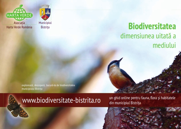 Cover of Biodiversitatea - dimensiunea uitată a mediului